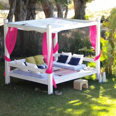 Cortijo El Pozuelo Pensionat Tarifa Exteriör bild