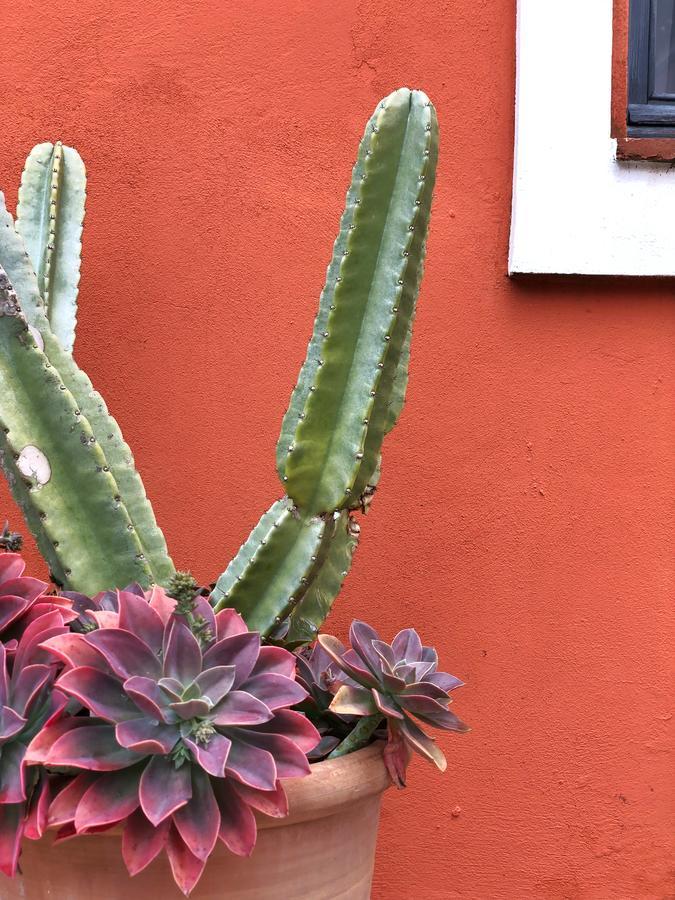Cortijo El Pozuelo Pensionat Tarifa Exteriör bild