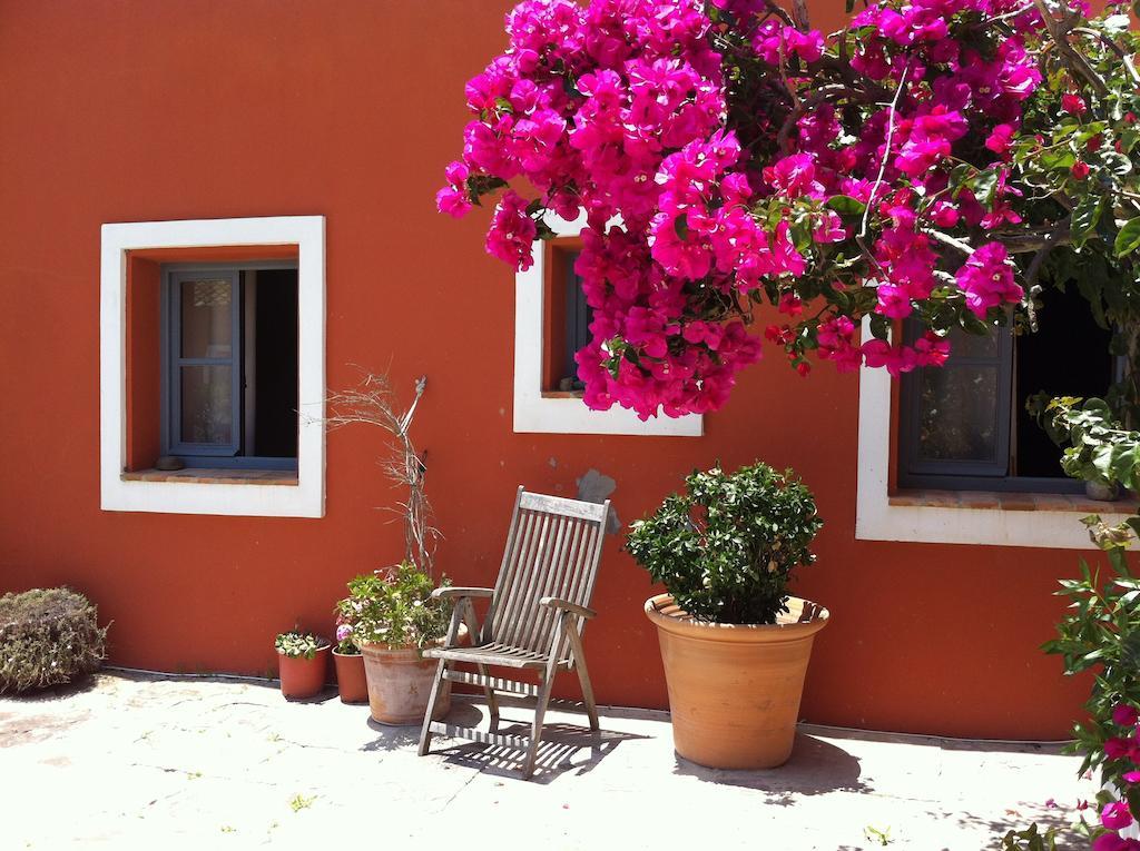 Cortijo El Pozuelo Pensionat Tarifa Exteriör bild